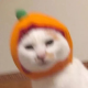 安然