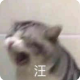 问泽卌